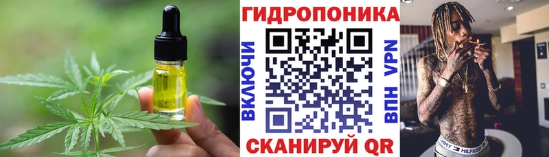 площадка Telegram  omg рабочий сайт  Cannafood марихуана  Шилка  цены наркотик 