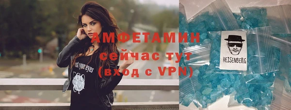 стаф Белокуриха