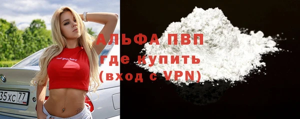 стаф Белокуриха
