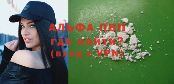 стаф Белокуриха