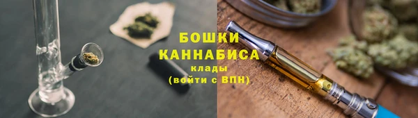 стаф Белокуриха