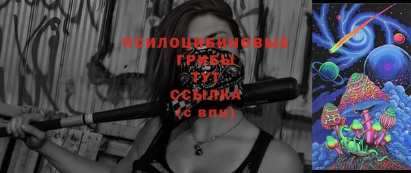 стаф Белокуриха