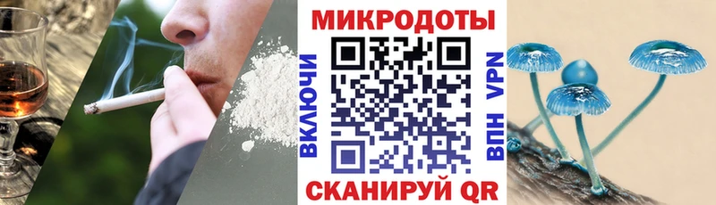 Галлюциногенные грибы Cubensis  купить  сайты  Шилка 