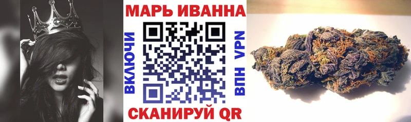Канабис гибрид  Шилка 